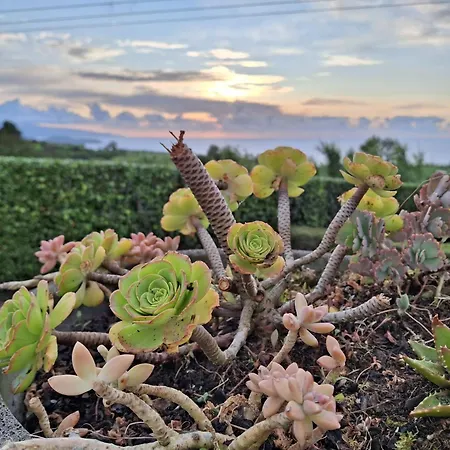בית נופש Casa Da Boa Vista Maia (Sao Miguel)